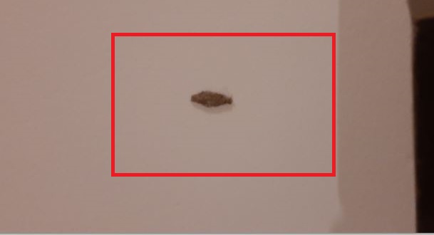 1610861541891.png