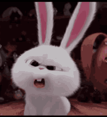 1614181942069.gif