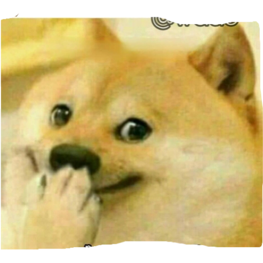 1614198438819.png