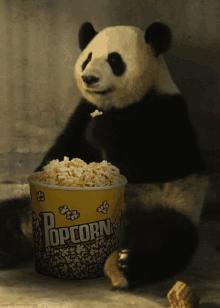 1615457927687.gif