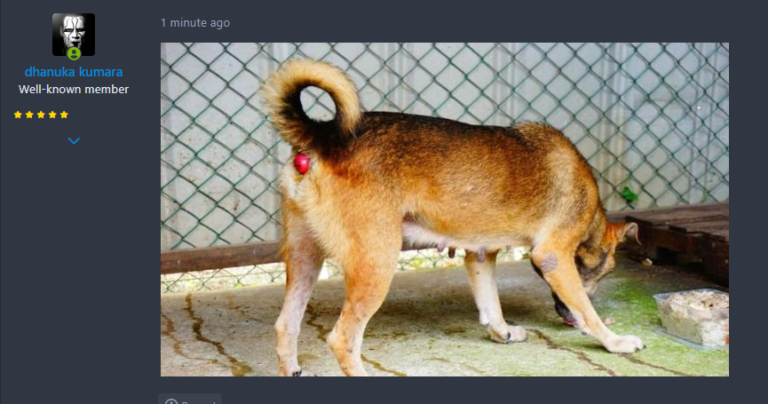 1616920842456.png