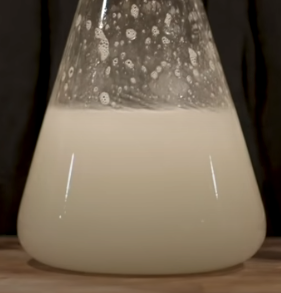 1619617296132.png