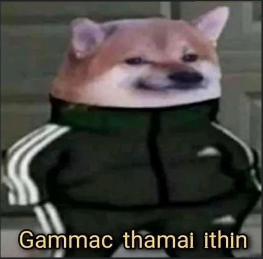 1620132321546.png