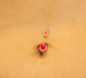 1620204892550.png