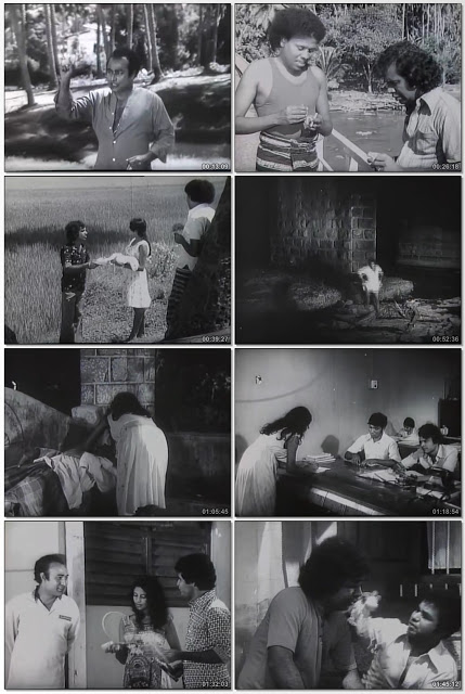 1620748423175.png