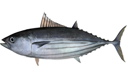 1620905844346.png