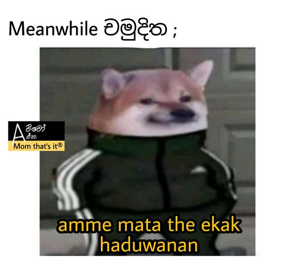 1622707199646.png
