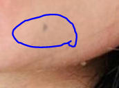1623336813758.png