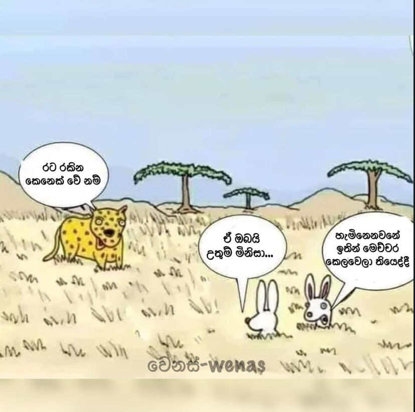 1623584997868.png