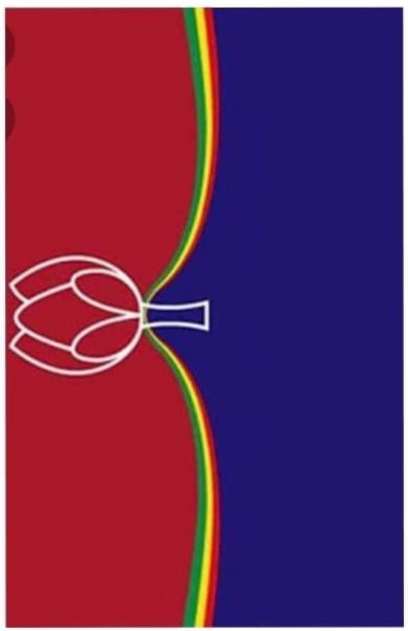 1623935674365.png