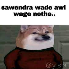 1624177025234.jpeg
