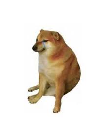 1624177582843.jpeg