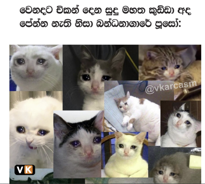 1624638944901.png