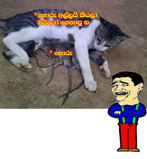 1625463542771.png