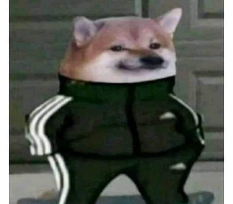 162765948_909500056545539_8254039064745700863_n.jpg