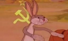 1628096929299.jpeg
