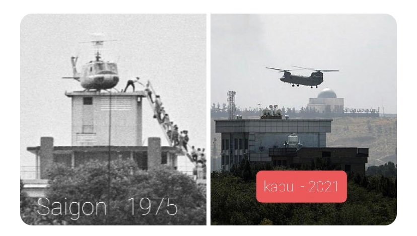 1629019003386.png