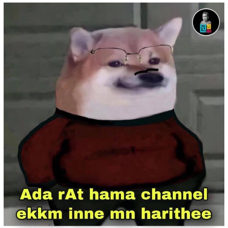 1629451498279.png