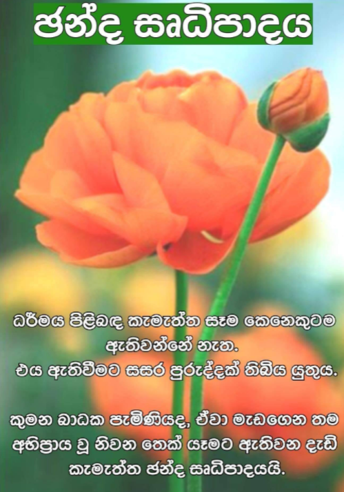1629455276448.png