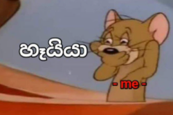 1630347688406.png
