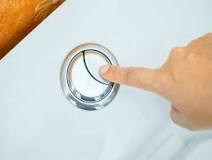 Image result for why two buttons on toilet