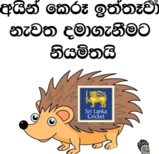 1631036580807.png