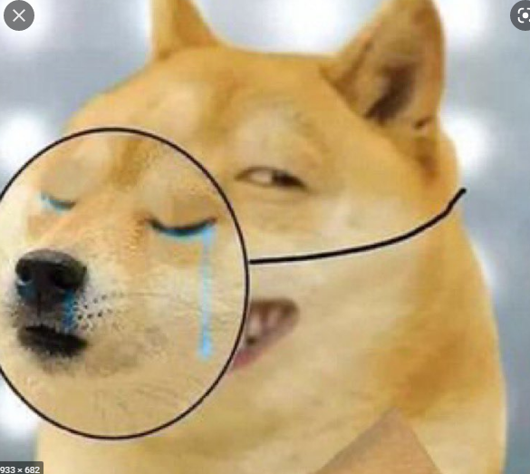 1632331294883.png