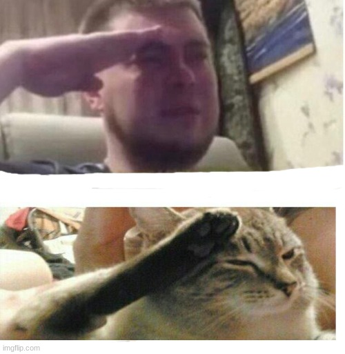 1632387936435.png