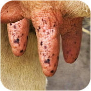 1637496907090.png
