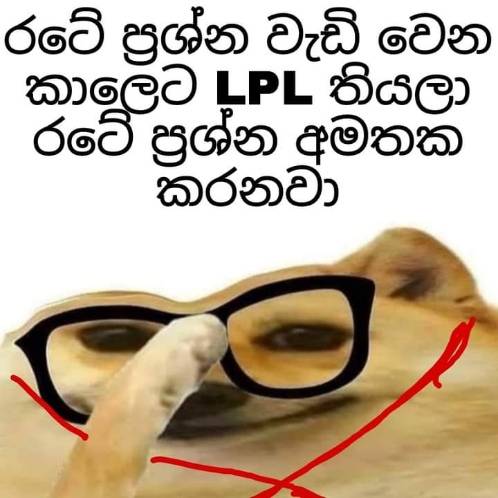 1640314320775.png