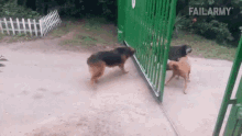 1643289427462.gif