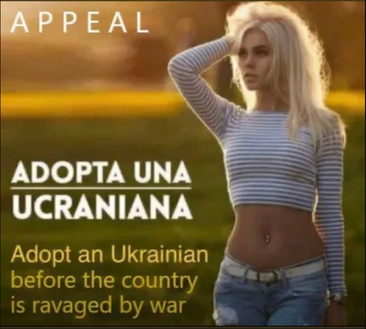 1644949268876.png