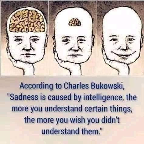 1645738010738.png
