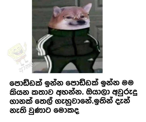 1645769623991.png