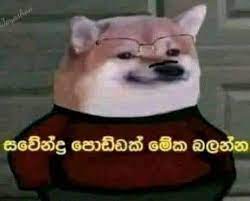 1645959130968.jpeg