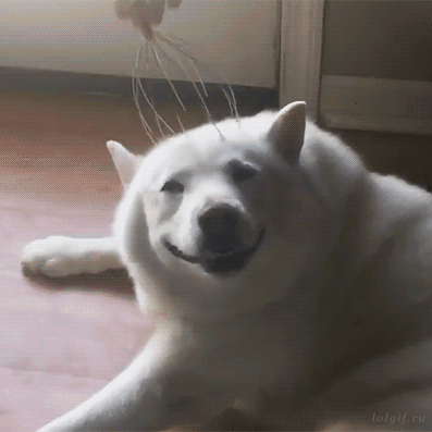 1649382615980.gif