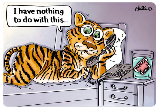 1652756032504.png