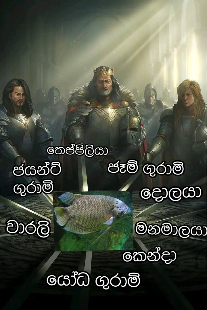 1653121717278.jpg