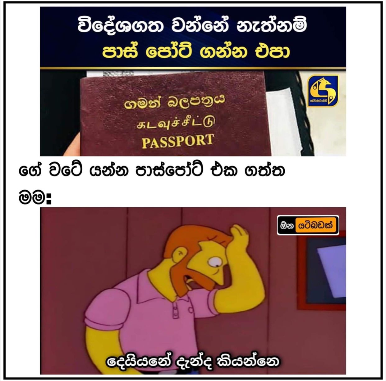 1656003950885.png