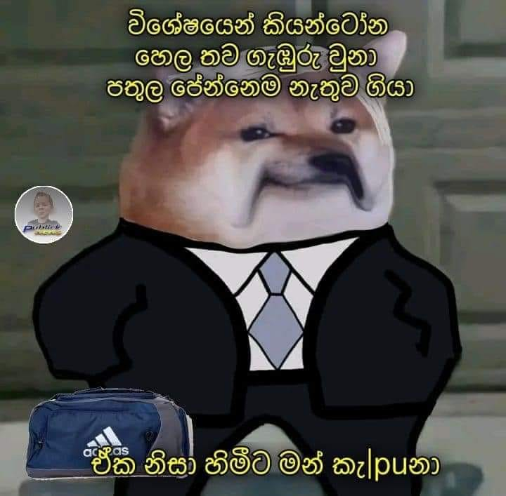 1657384847227.png