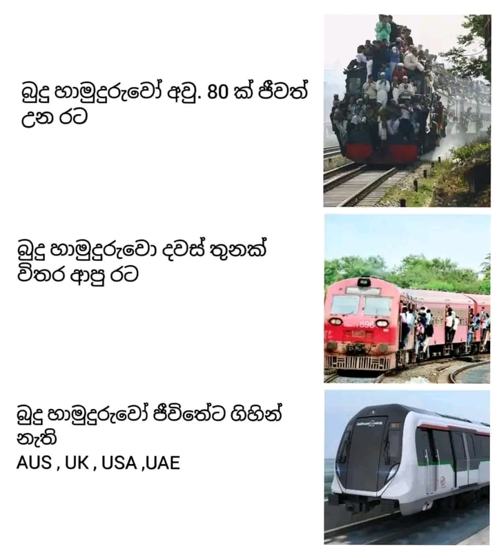 1658565481398.jpg