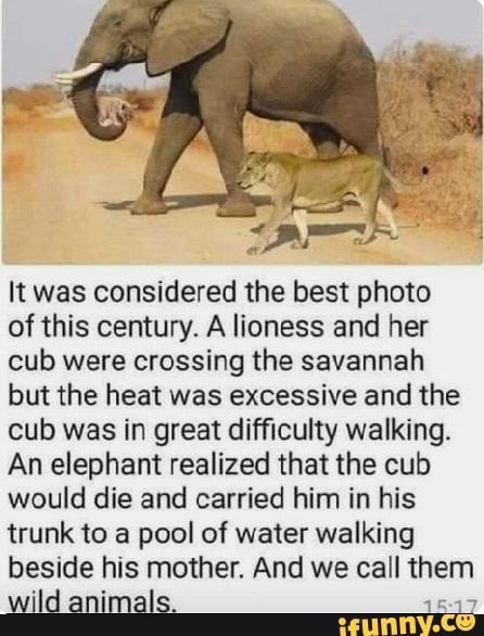 1659035019798.jpeg