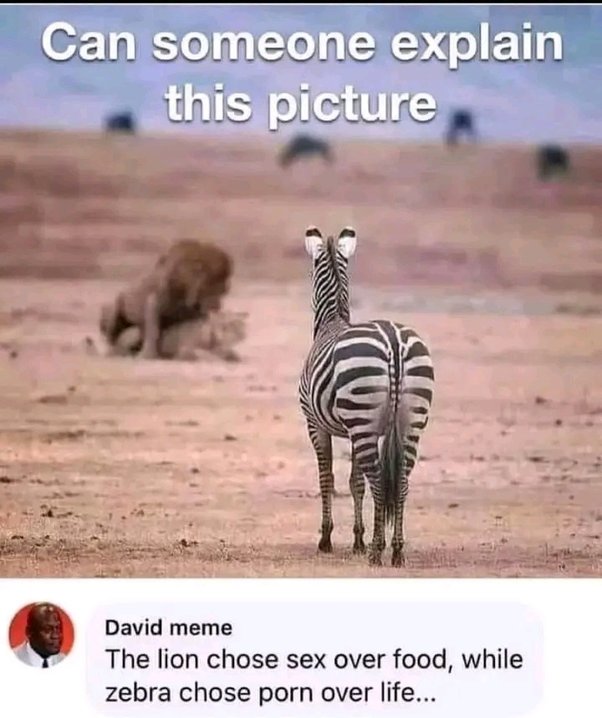 1659075379122.jpeg