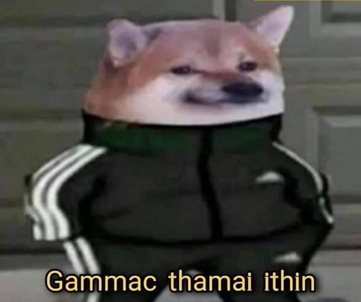 166184389_4051200021603782_5173682898295175082_n.jpg