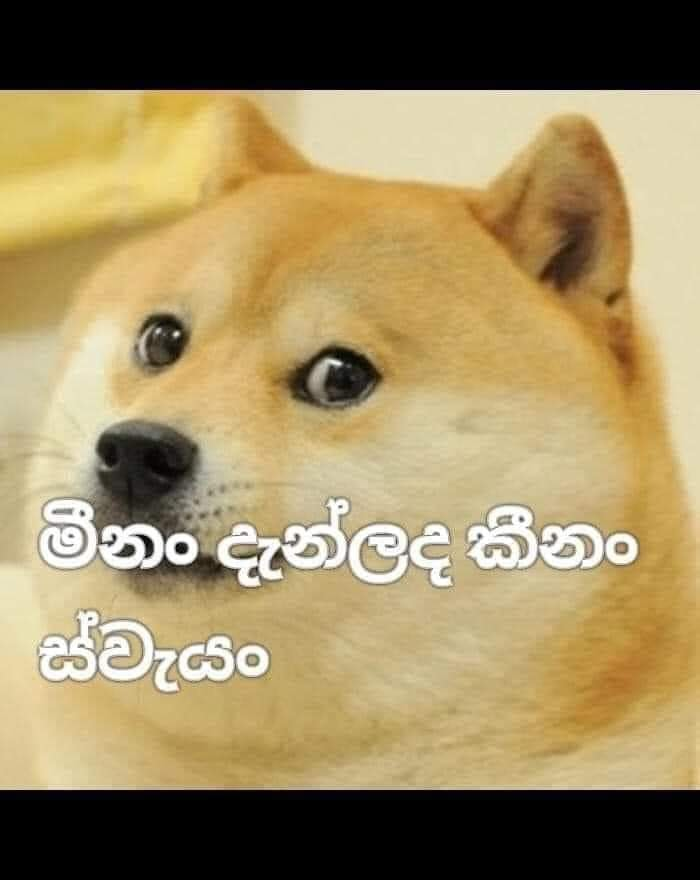 1663934995579.png