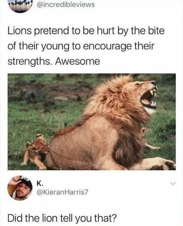 1664213444682.jpeg