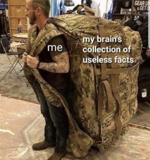 1664730561634.jpeg
