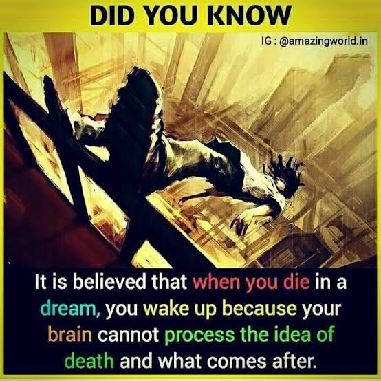 1664731873610.jpeg