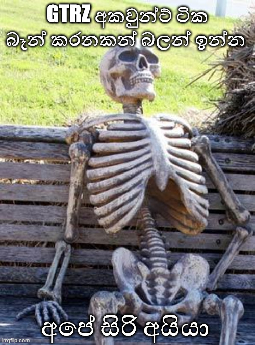 1664785714243-jpeg.185815