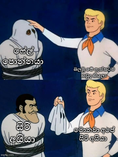 1664786729006-jpeg.185824